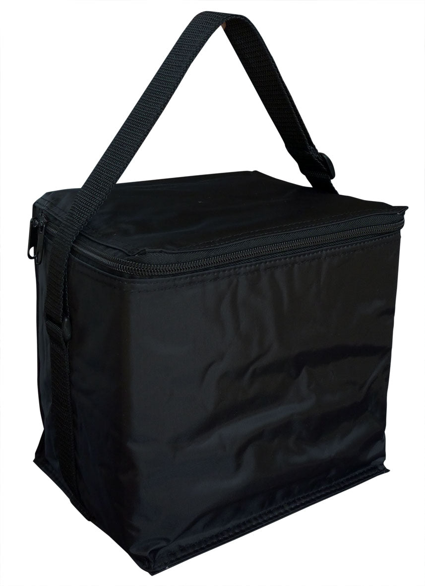 Small Cooler Bag