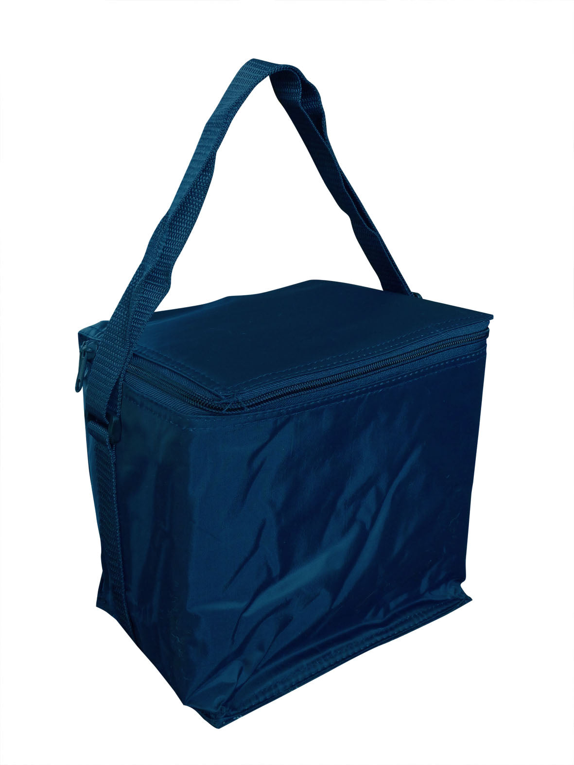 Small Cooler Bag