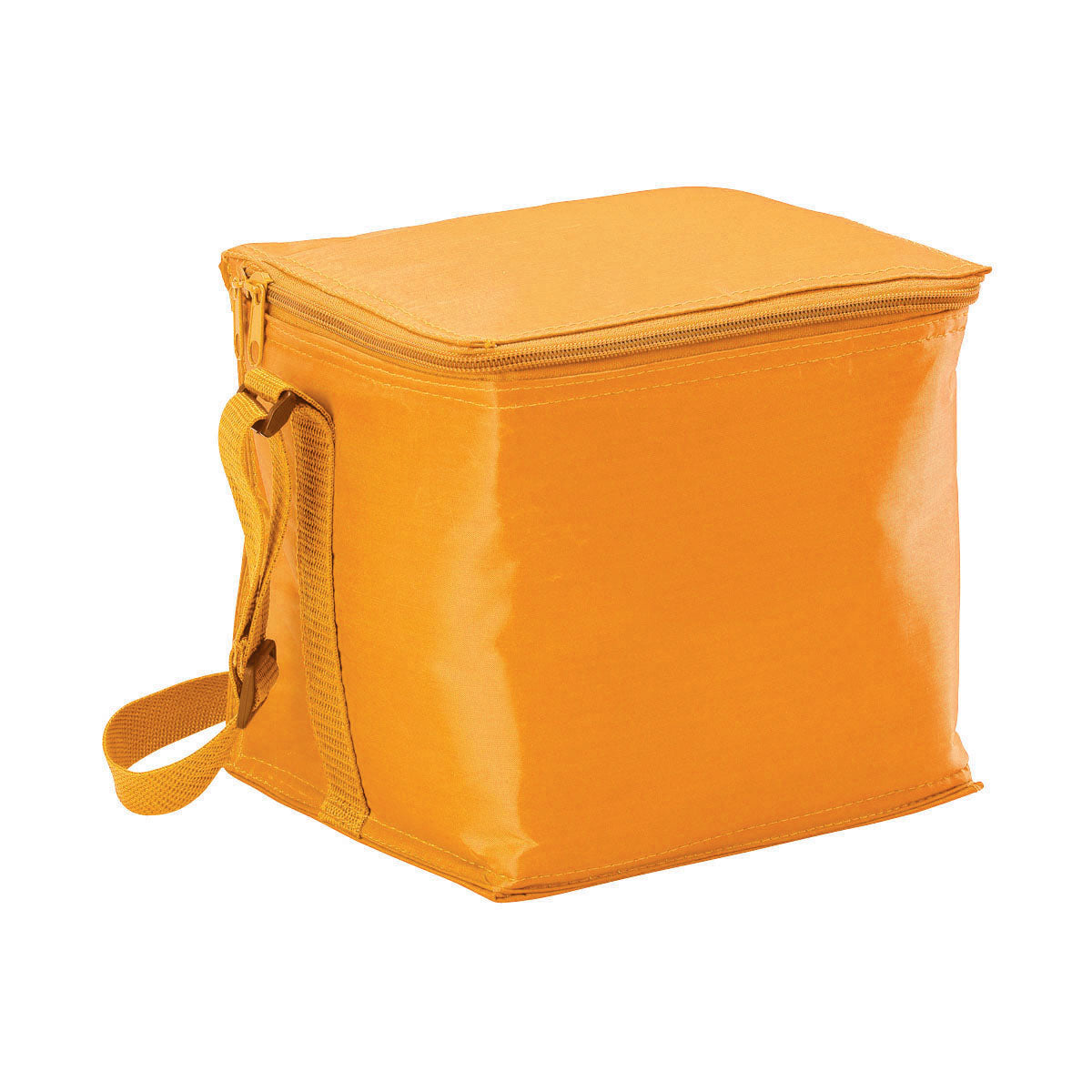 Small Cooler Bag