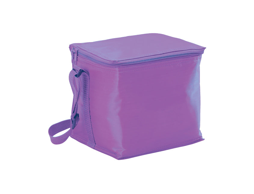 Small Cooler Bag