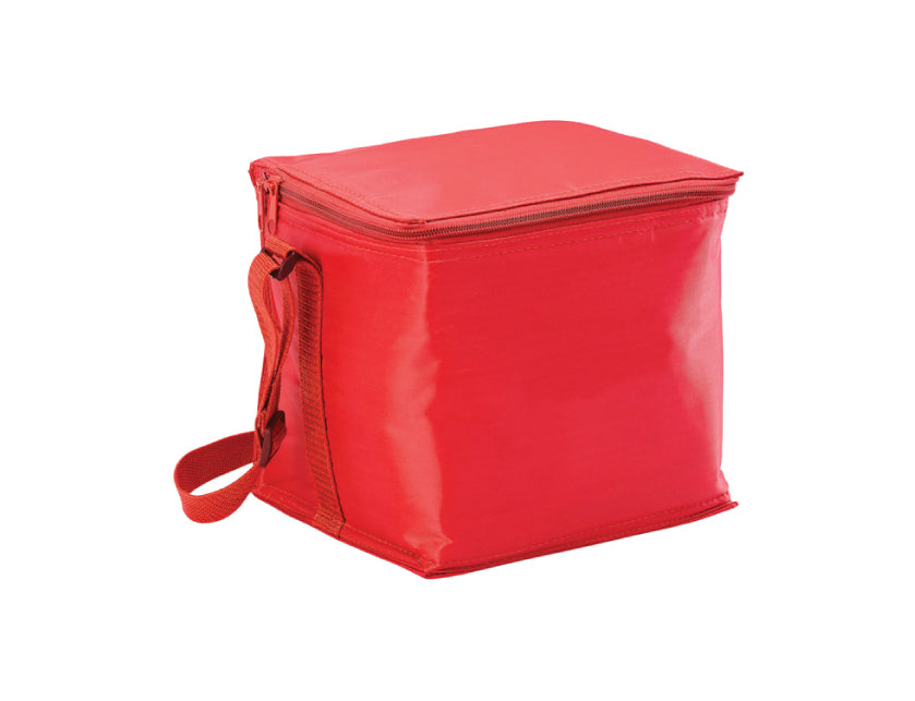 Small Cooler Bag