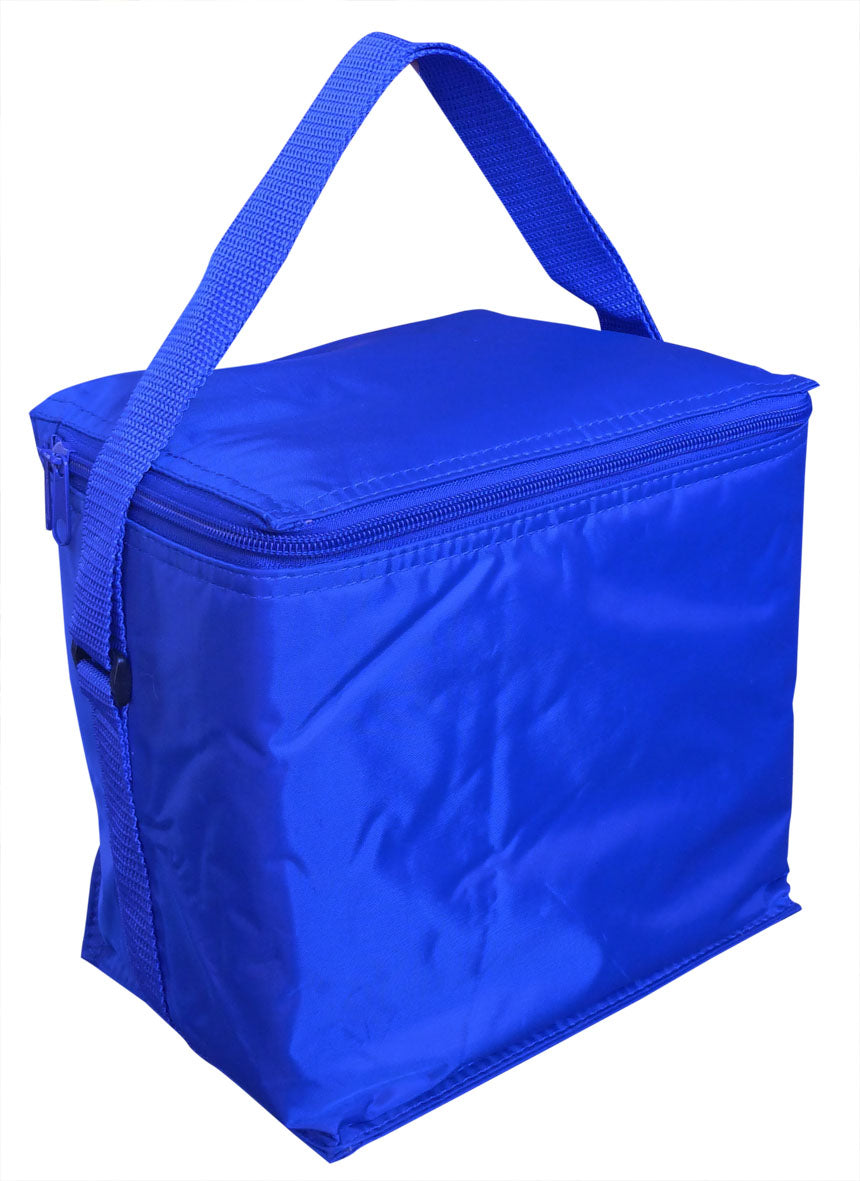 Small Cooler Bag