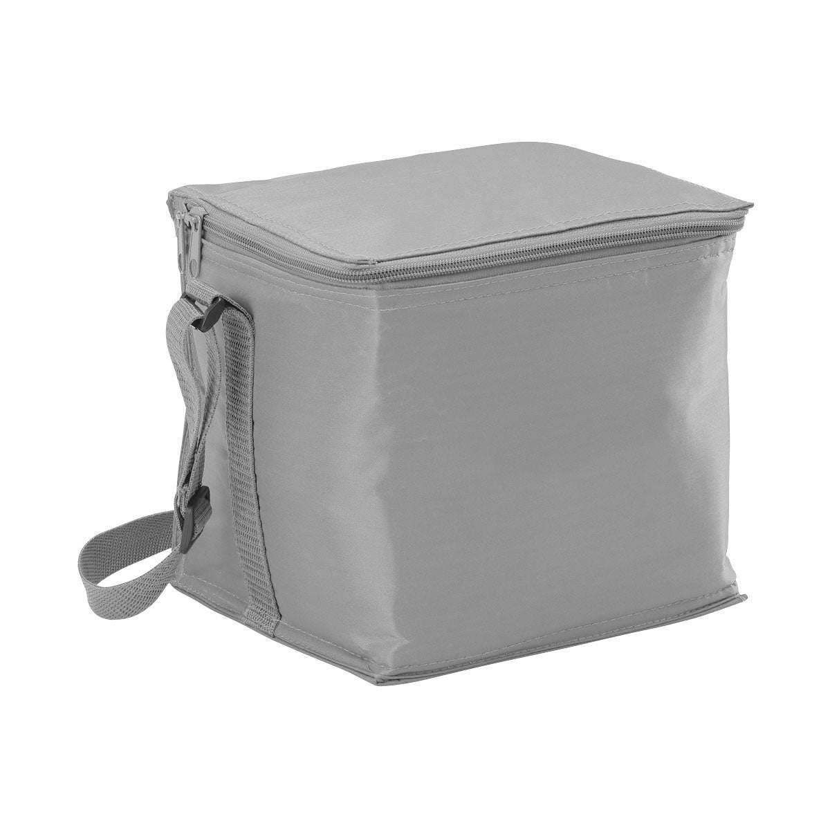 Small Cooler Bag