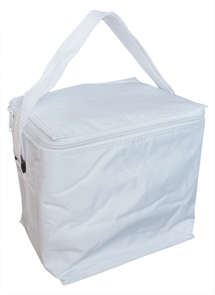 Small Cooler Bag
