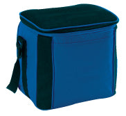 6 Drink Cooler